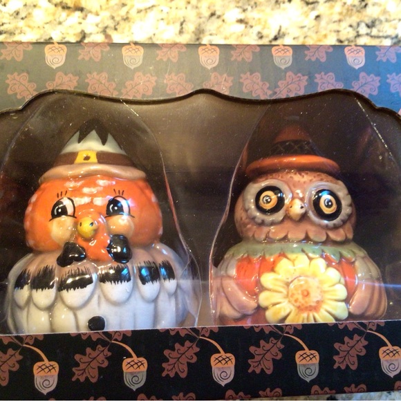 Johanna Parker turkey and owl Salt & Pepper Shakers 🍁 - Picture 16 of 16